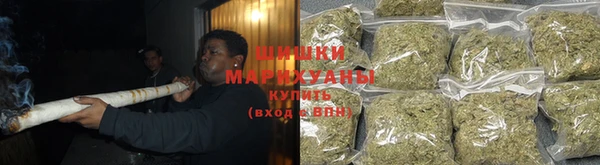 шишки Бронницы