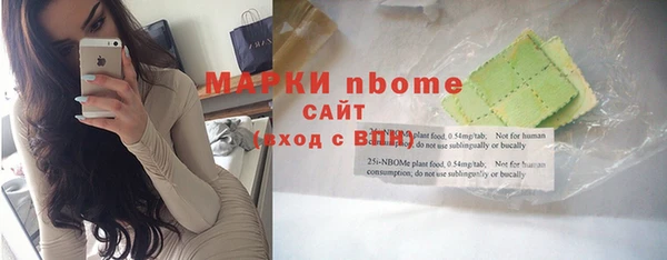 тгк Бородино