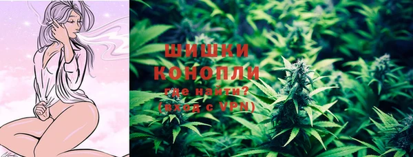 тгк Бородино